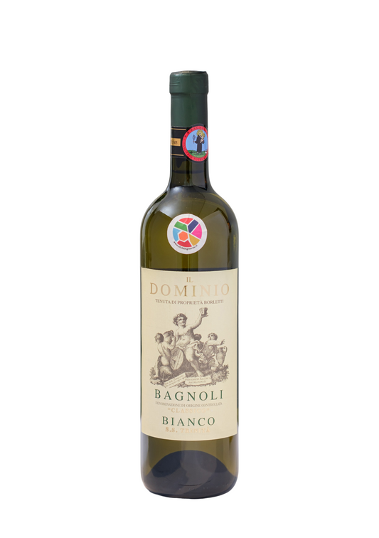 Bagnoli Bianco Classico D.O.C.